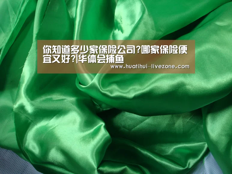 你知道多少家保险公司?哪家保险便宜又好?|华体会捕鱼(图1) 华体会捕鱼