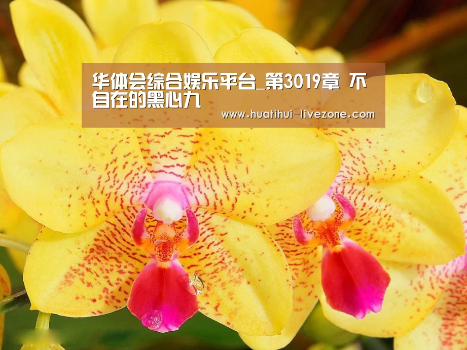 华体会电子游艺