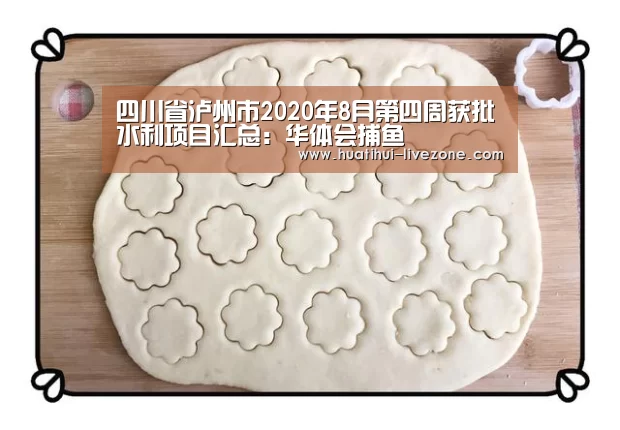 华体会捕鱼