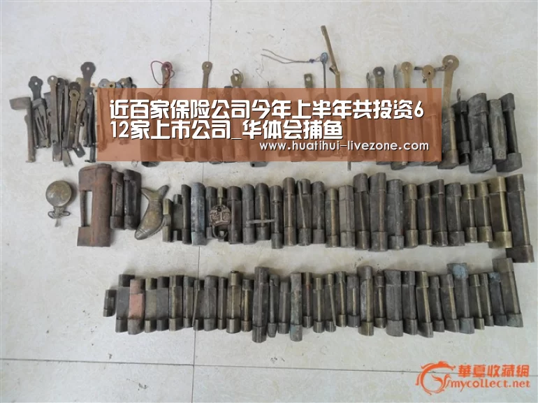 近百家保险公司今年上半年共投资612家上市公司_华体会捕鱼(图3) 华体会棋牌游戏